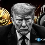 JPMorgan Reveals Why Bitcoin Price Rally Is Missing Despite Weak Dollar
